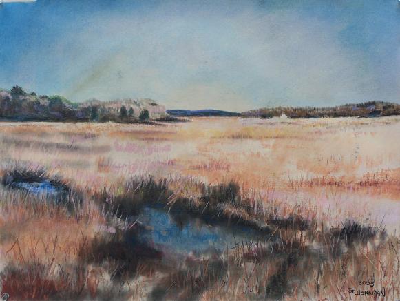 Cape cod salt marsh.jpg